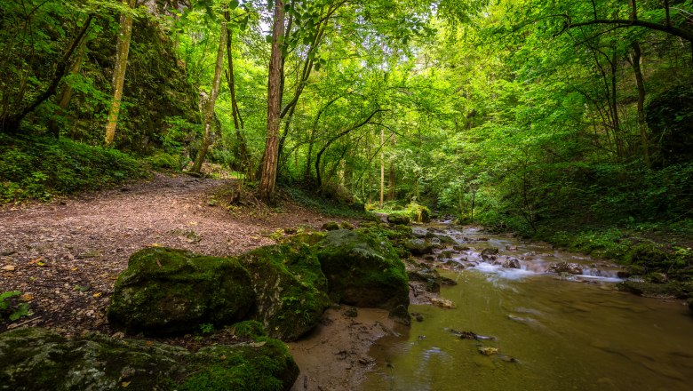 A forest path along a shallow stream in the Johannesbachklamm gorge, surrounded by lush greenery and rocks.