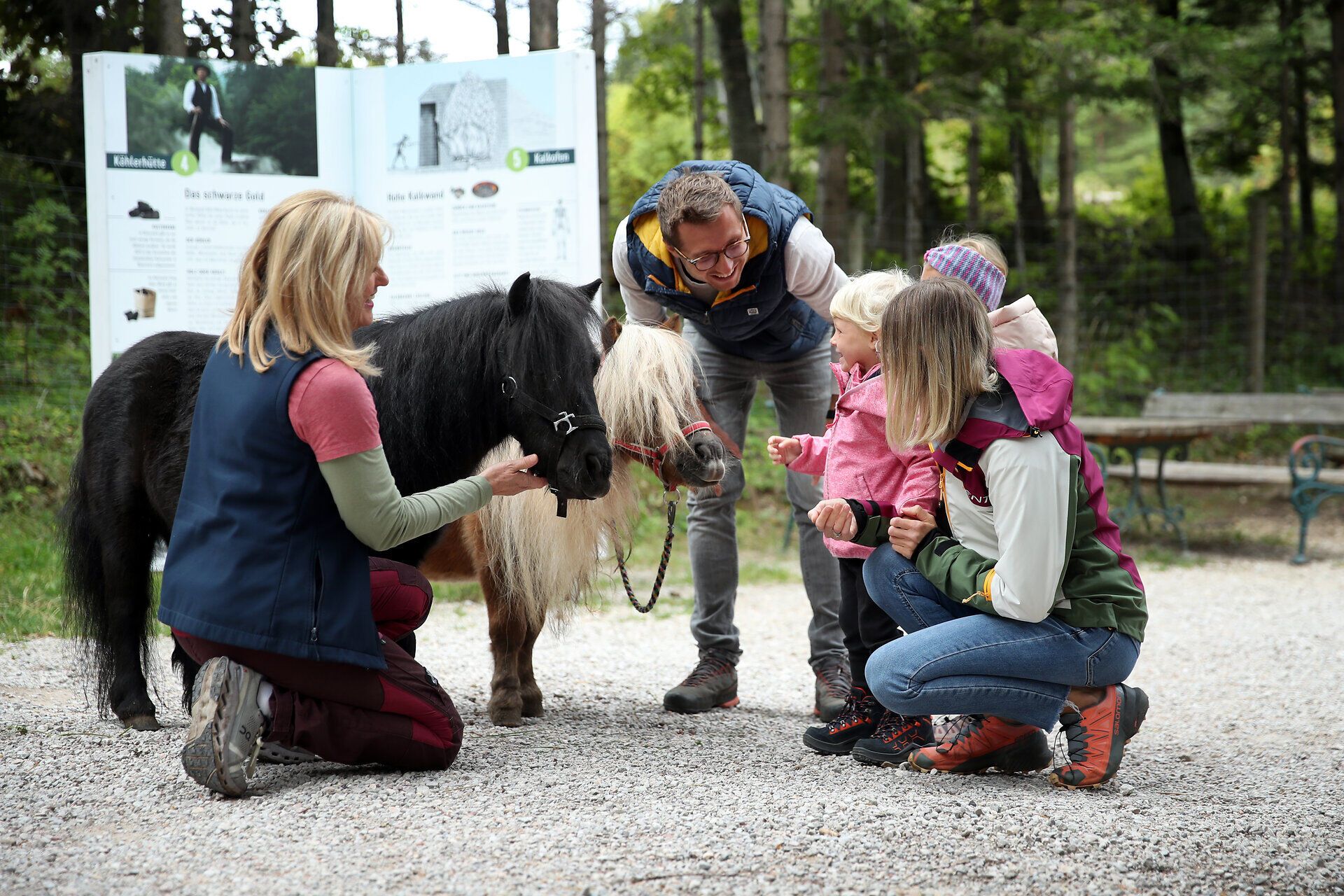 Eine Naturpark-Mitarbeiterin hält zwei Ponys um diese von einer Familie streicheln zu lassen. 