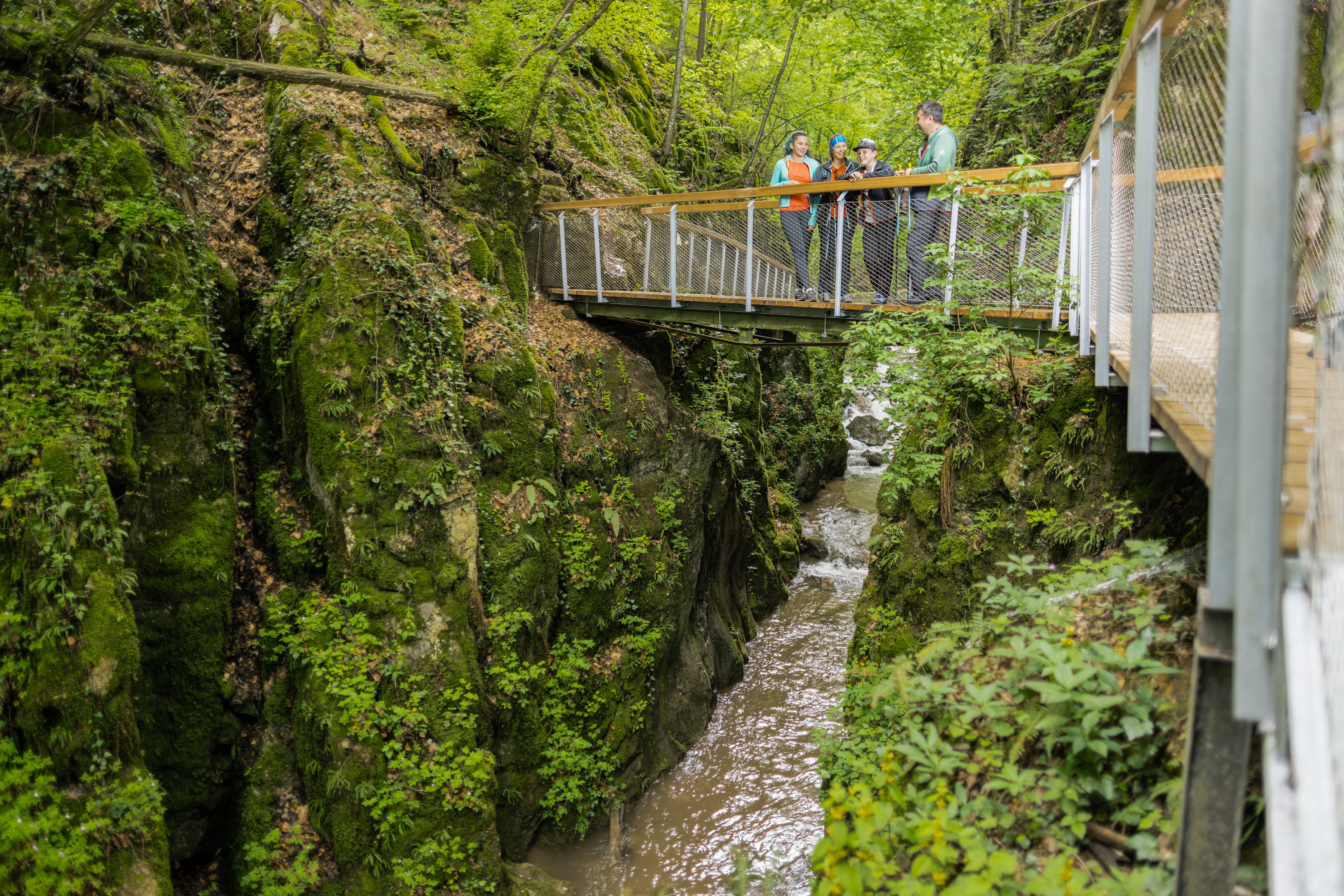Eine Gruppe von Menschen steht auf einem Steg über einer bewaldeten Schlucht mit einem Bach.