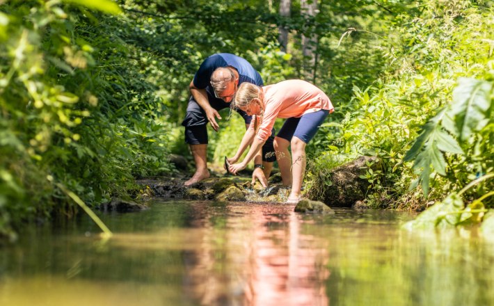 Zwei Personen beugen sich über einen Bach in einem grünen Wald.