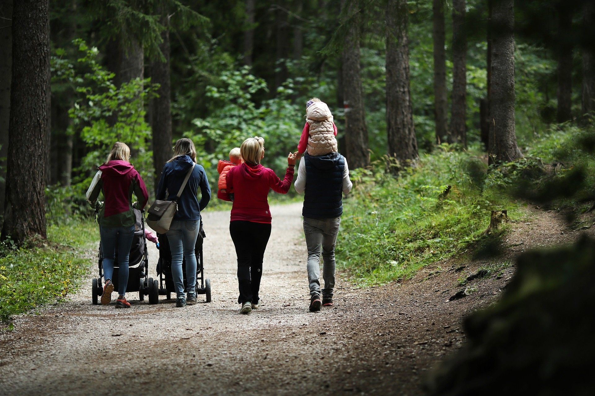 4 Personen wandern durch den Wald mit 2 Kinderwägen