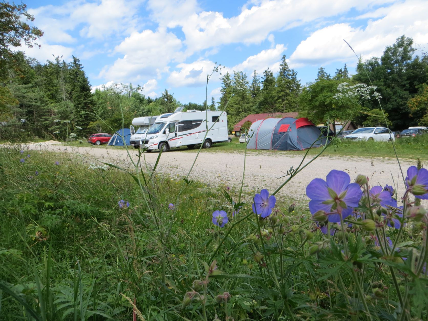 Campsite with mobile homes, tents and blooming flowers in the foreground.