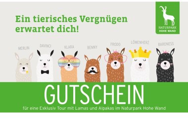 Gutschein f&uuml;r Lamawanderung , &copy; Naturpark Hohe Wand 
